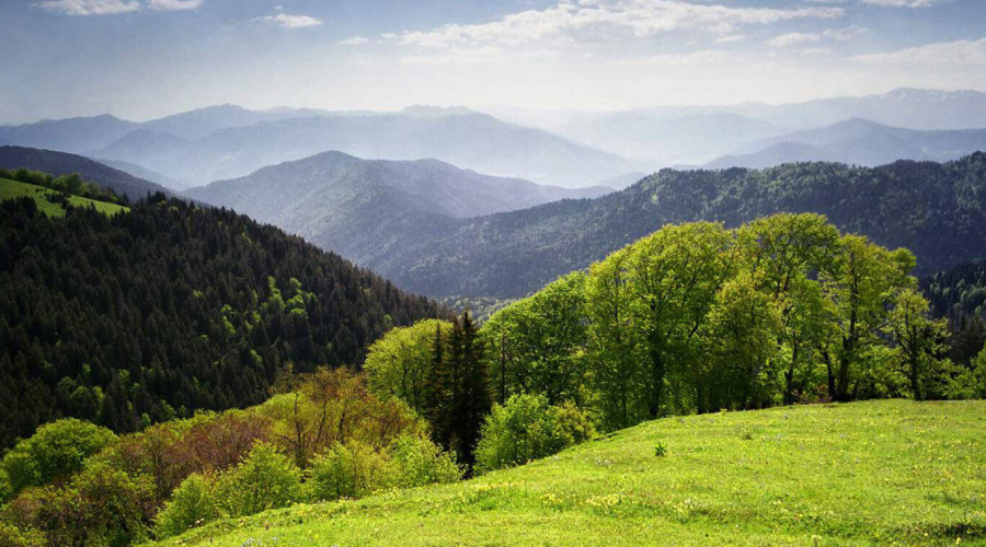 Боржоми-Харагаули'